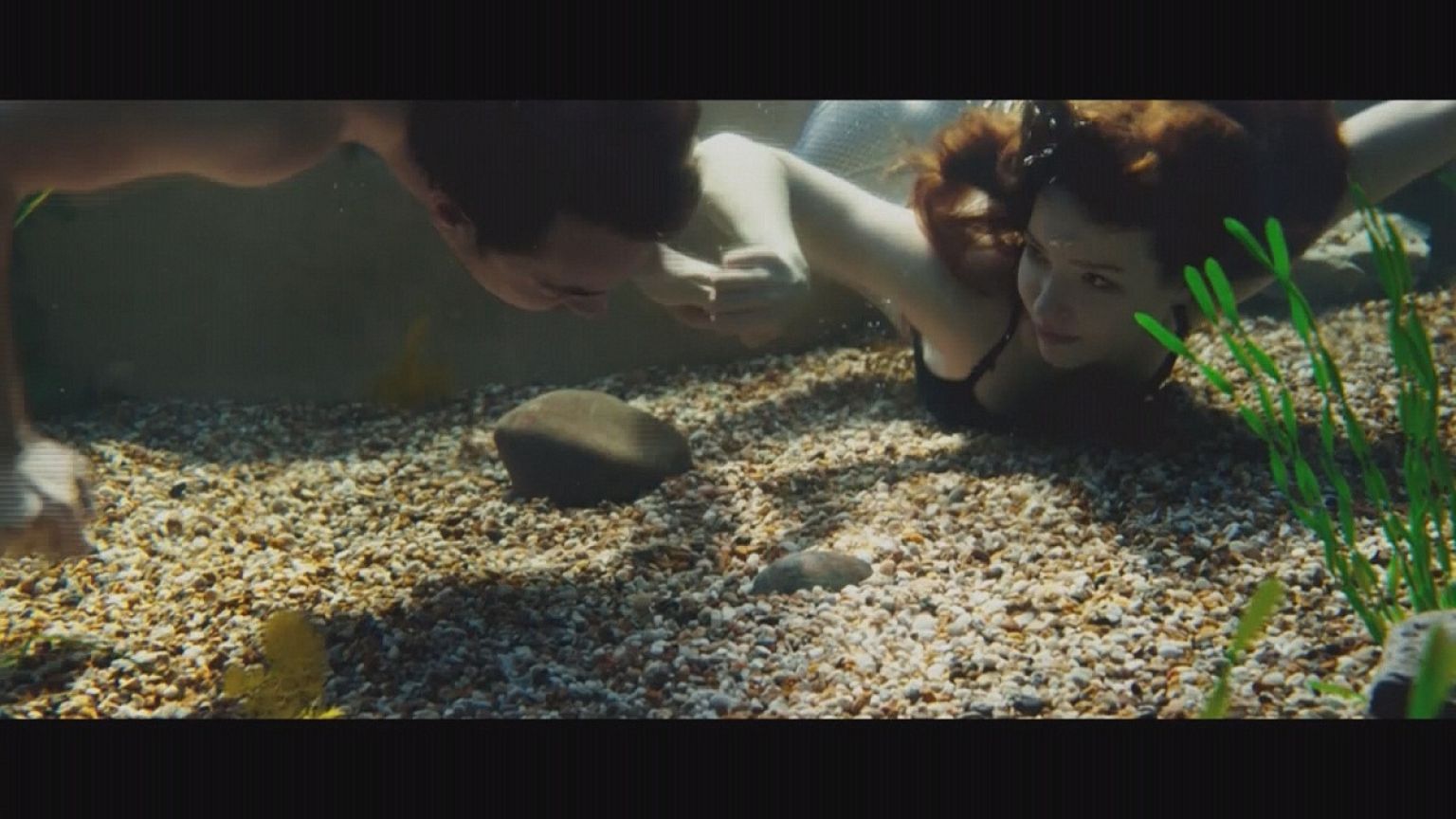 «Scottish Mussel»: Ρομαντική κομεντί με φόντο τα Χάιλαντς