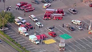 'Troubled lawyer' gunman killed by police after injuring nine in Houston, Texas