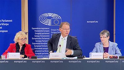 مجموعة نواب الخضر في البرلمان الأوروبي تعلن عن مشروع لمكافحة الفساد في الإتحاد الأوروبي