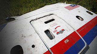 سقوط هواپیمای مسافربری مالزی در شرق اوکراین؛ آنچه گذشت