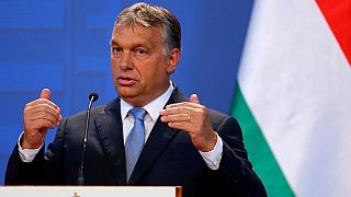 Macaristan referanduma gidiyor