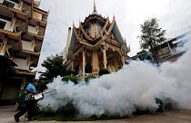 Tailandia registra los primeros casos de microcefalia por zika en el Sudeste Asiático