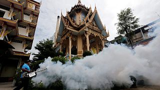 Thaïlande : premiers cas de microcéphalie liés au Zika