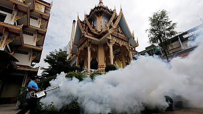 Thailand confirms first Zika-related microcephaly cases