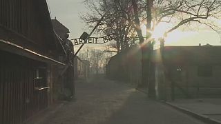 Reconstitution en 3D du camp de concentration d'Auschwitz