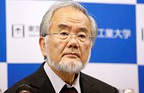 Japán tudós nyerte az orvosi Nobel-díjat