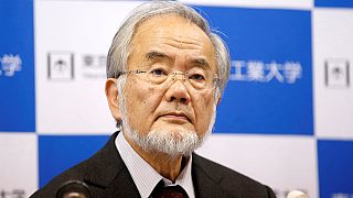 Yoshinori Ohsumi wins Nobel prize in medicine