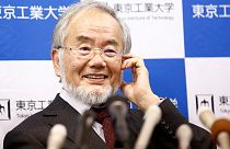 جایزه نوبل پزشکی امسال به یوشینوری اوسومی، دانشمند ژاپنی رسید