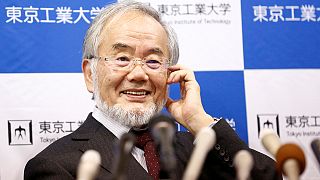 جایزه نوبل پزشکی امسال به یوشینوری اوسومی، دانشمند ژاپنی رسید