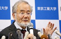 Japán sejtbiológusé az orvosi Nobel-díj