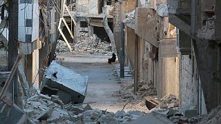 Síria: EUA e Rússia de costas voltadas