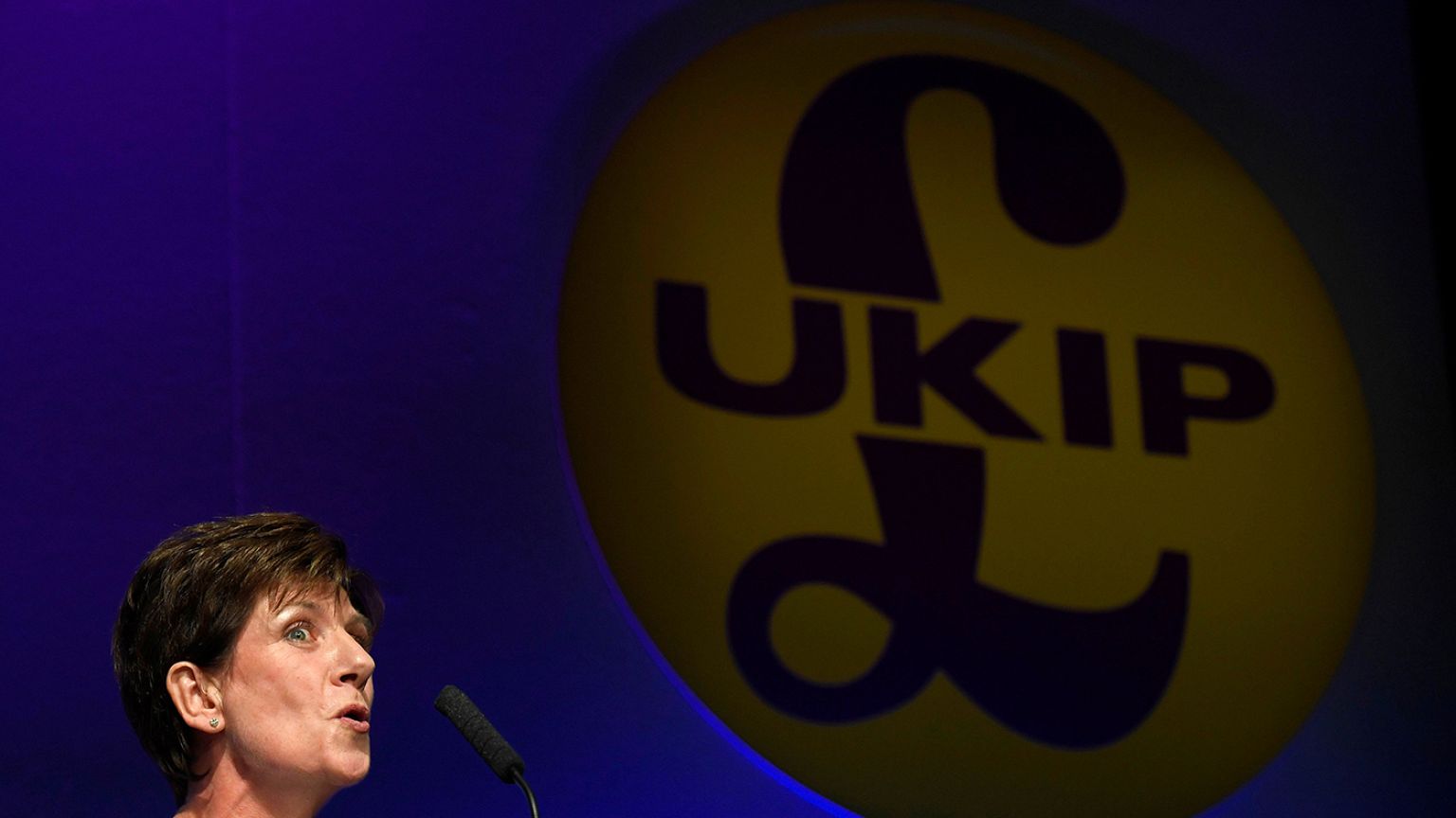 İngiltere'de UKIP'in 18 günlük başkanı istifa etti