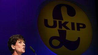 "Exit" à cabeça do UKIP: Diane Jane demite-se por falta de apoio da formação