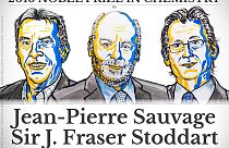 Sauvage, Stoddart y Feringa galardonados con el premio Nobel de Química 2016