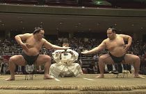 Exibição de Sumo no Japão