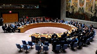 بمباران و جنگ در سوریه، مخالفت و بن بست در شورای امنیت