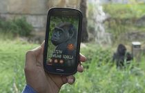 App führt durch den Berliner Zoo
