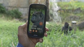 تطبيق جديد يستخدم تقنية المنارة في حديقة الحيوانات في برلين
