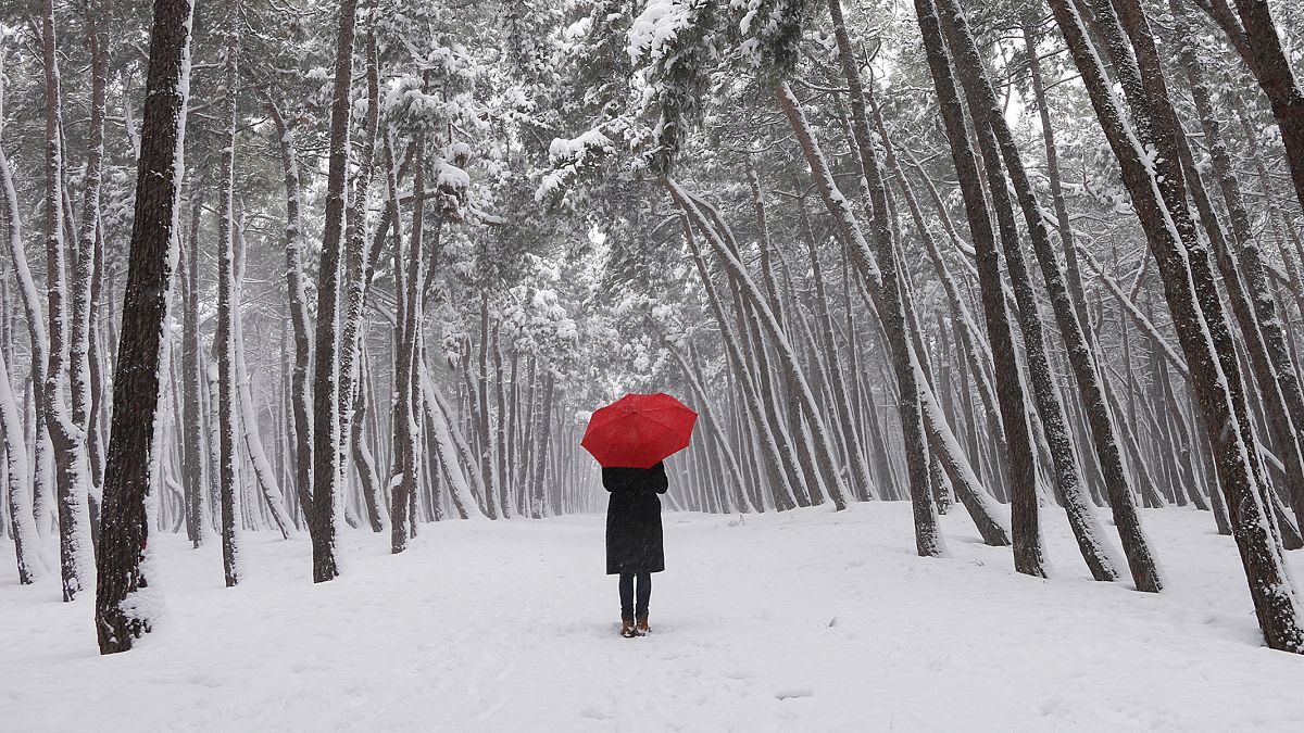 winter walk, winter, snow, red umbrella, seasonal affective disorder, SAD, 