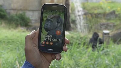 La technologie balise dans le zoo de Berlin