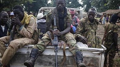 Centrafrique : des ex-rebelles Seleka déposent les armes