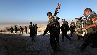 Irak : premier jour d'offensives sur Mossoul