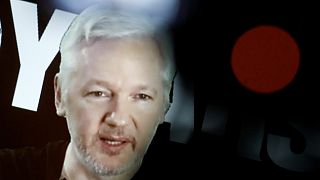 Assange ohne Internet: wilde Spekulationen um Pamela Anderson