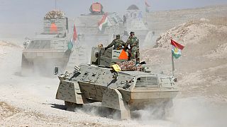 Les troupes irakiennes s'approchent un peu plus de Mossoul
