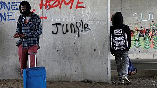 Jungle de Calais : la justice approuve un démantèlement rapide