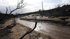 Image: Mud, Debris - Woolsey Fire