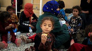 العراق: مخيم ديبكة جنوب اربيل، يستقبل الفارين من معركة الموصل