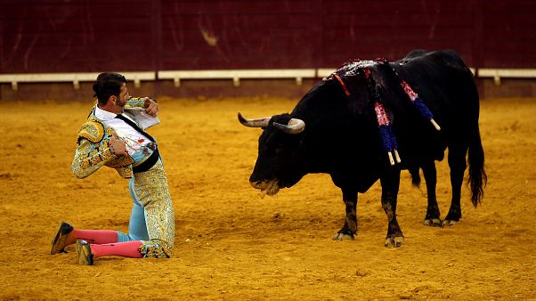 Bullfighting Back In Catalonia Euronews