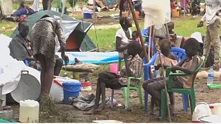 South Sudanese refugees double in the DRC - UN
