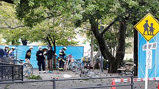 Japanese pensioner injures three in suicide blast