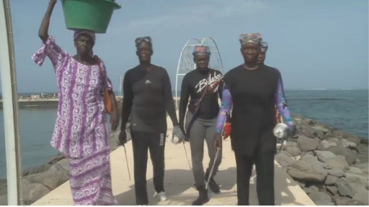 The sea urchin fisherwomen of Senegal