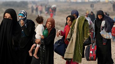Irak: Yüzlerce kişi Kayyara'daki çatışmalardan kaçtı