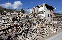 Il terremoto nell'Italia Centrale "ha attivato una nuova porzione di faglia"