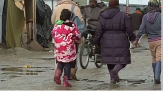 La jungle de Calais : le cas des mineurs