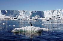 Antartide: nasce la più grande riserva marina del mondo