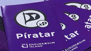 Iceland's radical Pirate party senses victory in parliamentary poll