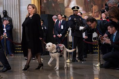 Sully joined the Bush family earlier this year via America\'s VetDogs, an organization that trains and places service dogs with disabled military veterans.