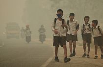 Unicef: uno de cada siete niños en el mundo respira aire tóxico