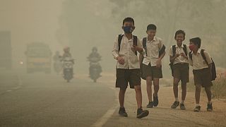 Pollution : 300 millions d'enfants respirent de l'air toxique - Unicef