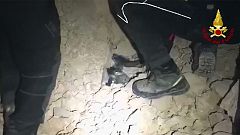 Hund lebend aus Trümmern in Norcia geborgen