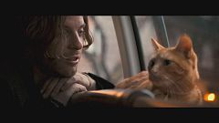 "Bob, der Streuner": Ein Kater als Lebensretter