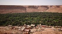 A preservação dos oásis marroquinos