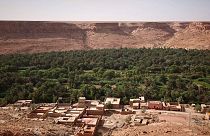 Marokkói programok az oázisok megmentésére