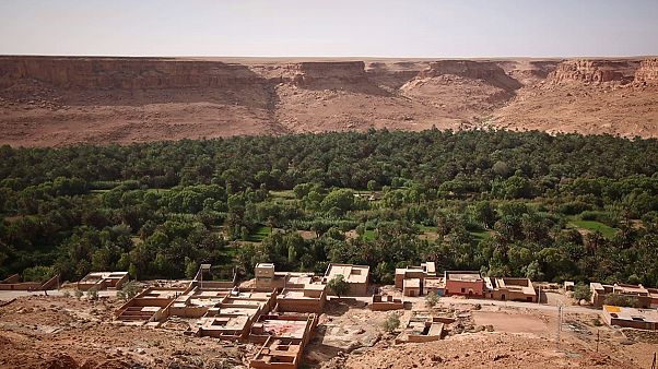 COP 22: Tafilalet Çölü yeniden hayat buluyor COP 22: Tafilalet Çölü yeniden hayat buluyor