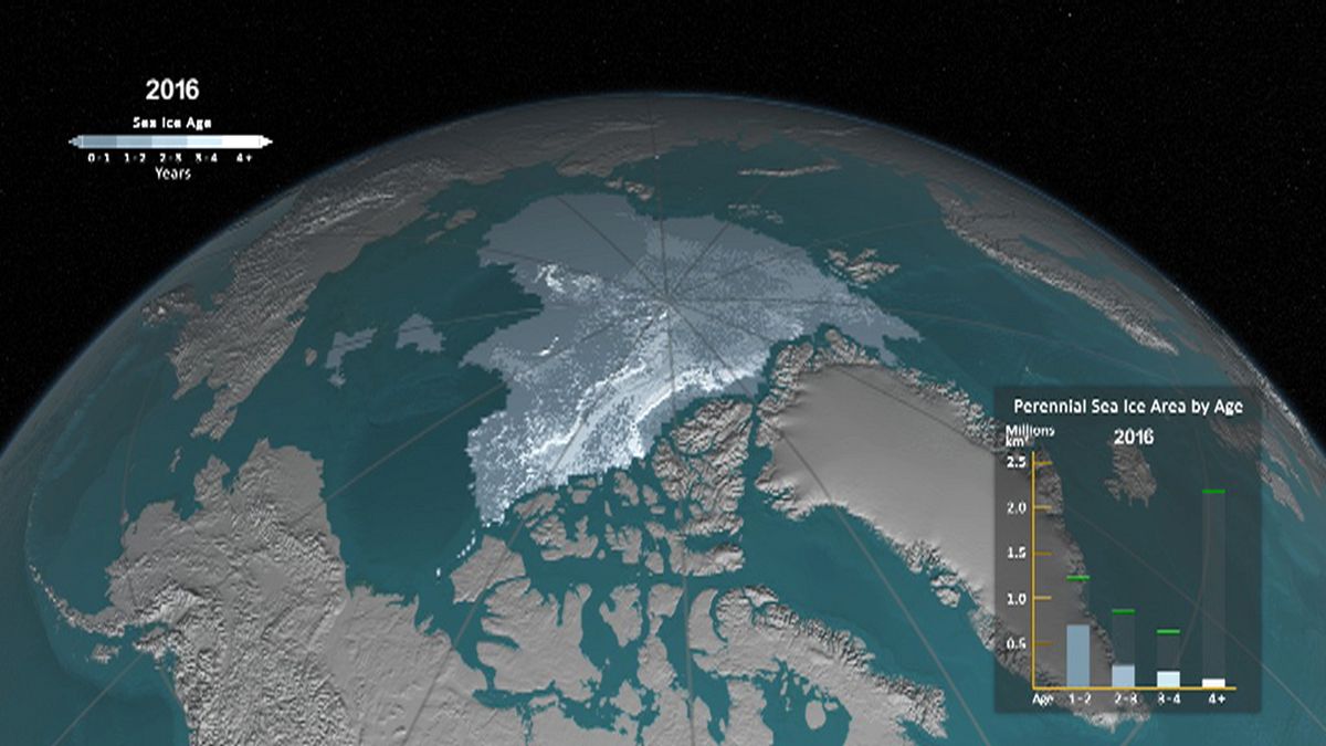 Watch: How ice has melted in the Arctic Ocean since 1984
