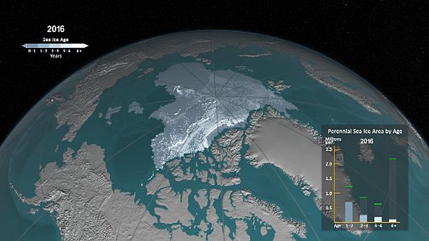 NASA: за 30 лет лед в Арктике стал значительно тоньше NASA: за 30 лет лед в Арктике стал значительно тоньше